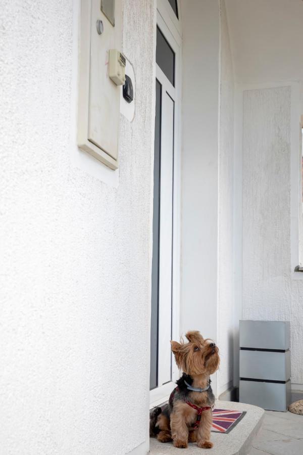 Apartment Vita Ριέκα Εξωτερικό φωτογραφία